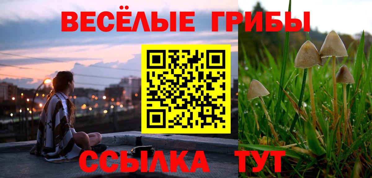 Псилоцибиновые грибы Magic Shrooms  Вход с VPN  Псилоцибиновые грибы Psilocybine cubensis  как найти закладки  Павловский Посад 