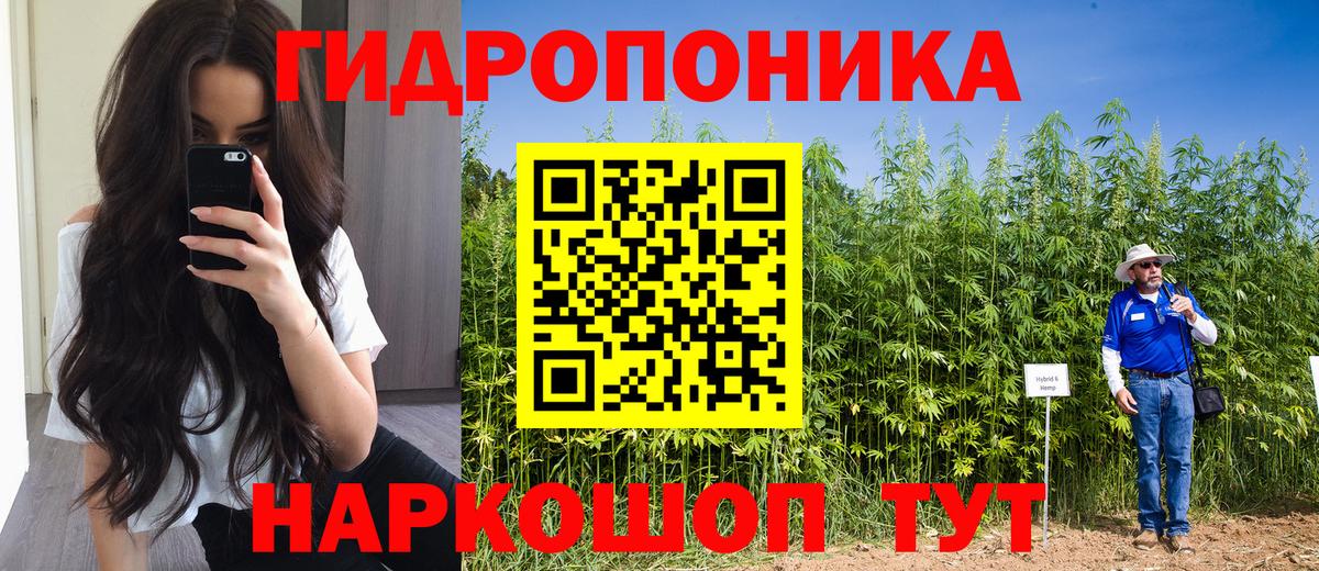 Марихуана семена  МАРИХУАНА планчик  Павловский Посад  Марихуана White Widow  МАРИХУАНА THC 21%  Вход с VPN 